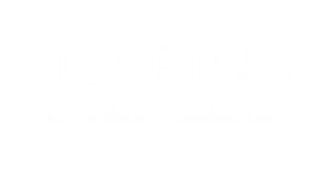 ViSpring Logo