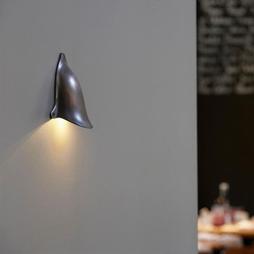 Cavy Light Shell Light | Cavit & Co