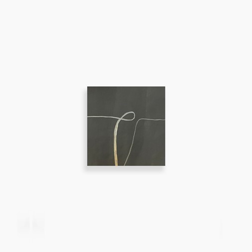 Pewter Symphonic 10x10