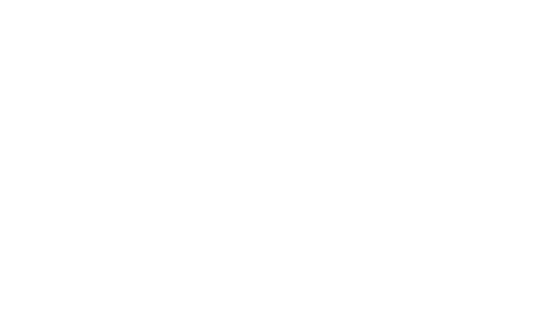 Porter Teleo