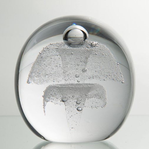 Sea Nettle Paperweight